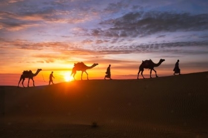 indian-cameleers-camel-driver-with-camel-silhouettes-dunes-sunset-jaisalmer-rajasthan-india_163782-2_(Custom)-transformed